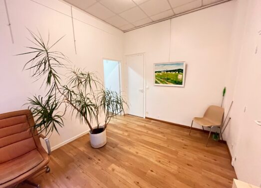 Local Professionnel 22m² <b /> Métro Picpus - PARIS XII ème <br /> 990€ Cc